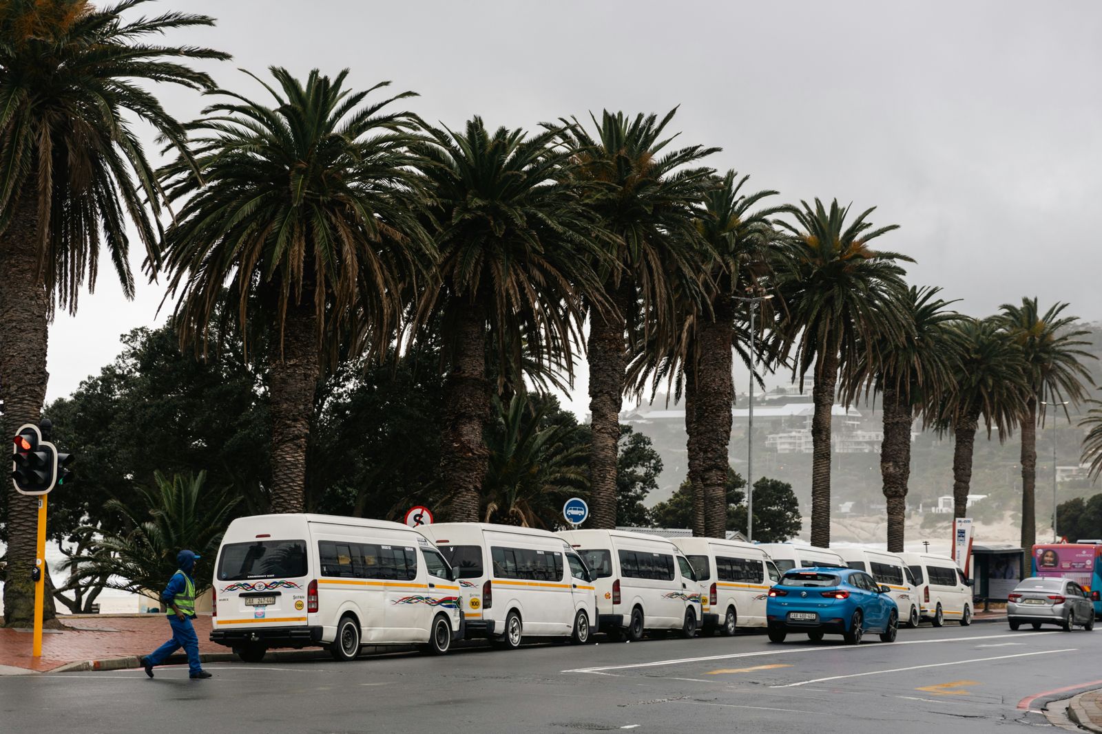 White minibuses parked under palm trees in Camps Bay, Cape Town